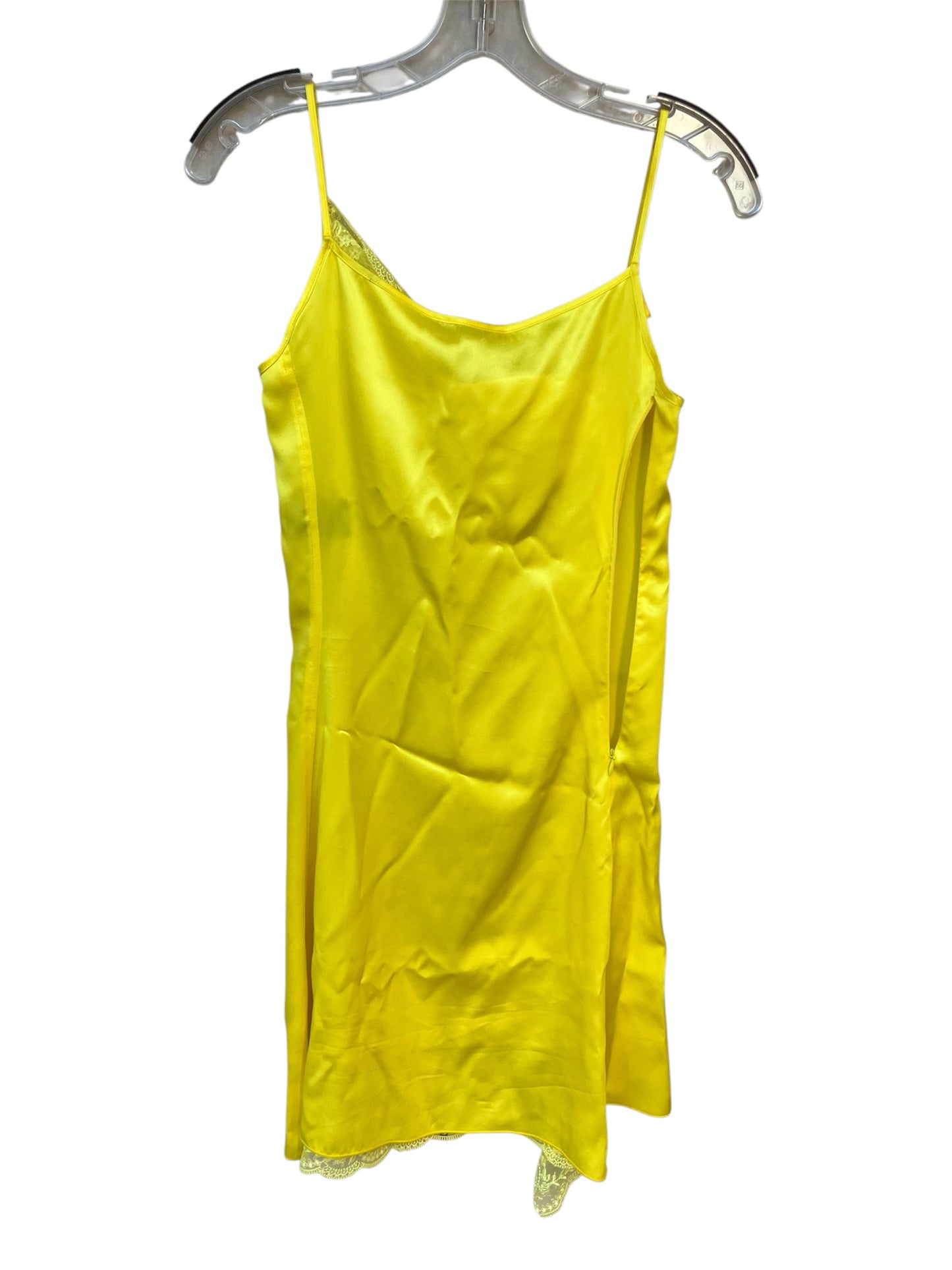 Meryll Rogge Size 34 Silk Slip